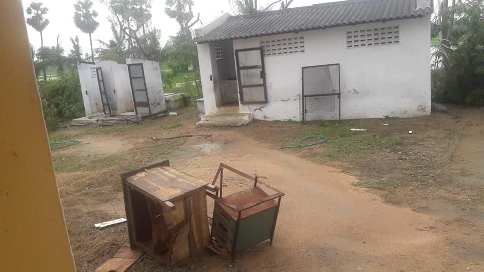 yard